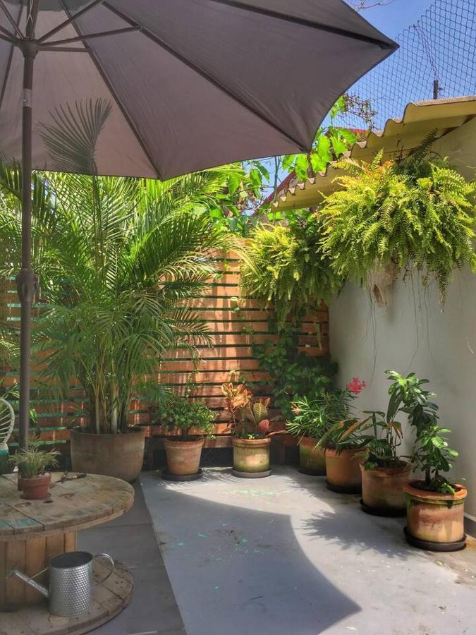 Villa Palapa Chili # Sayulita Exterior foto