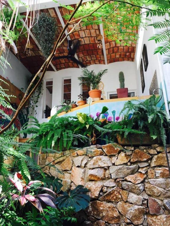 Villa Palapa Chili # Sayulita Exterior foto